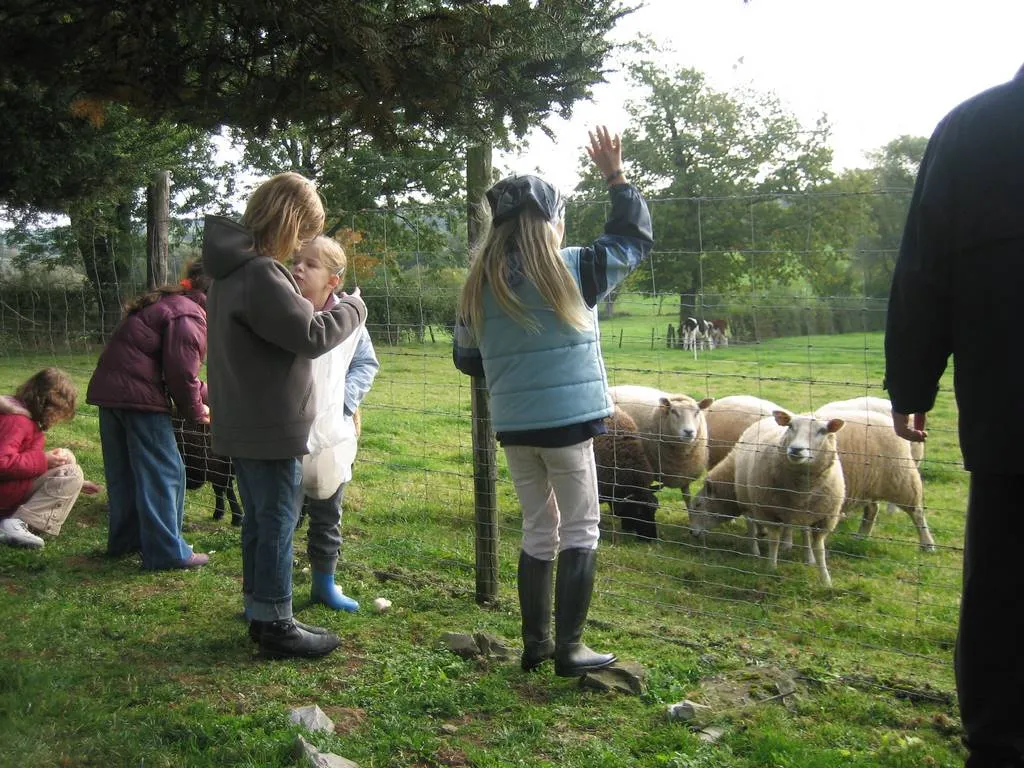 Visite de la ferme